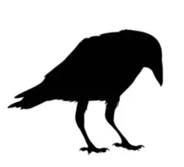 Divergent Crow